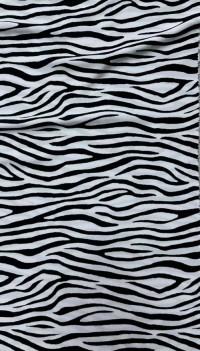 Rayon Twill Print